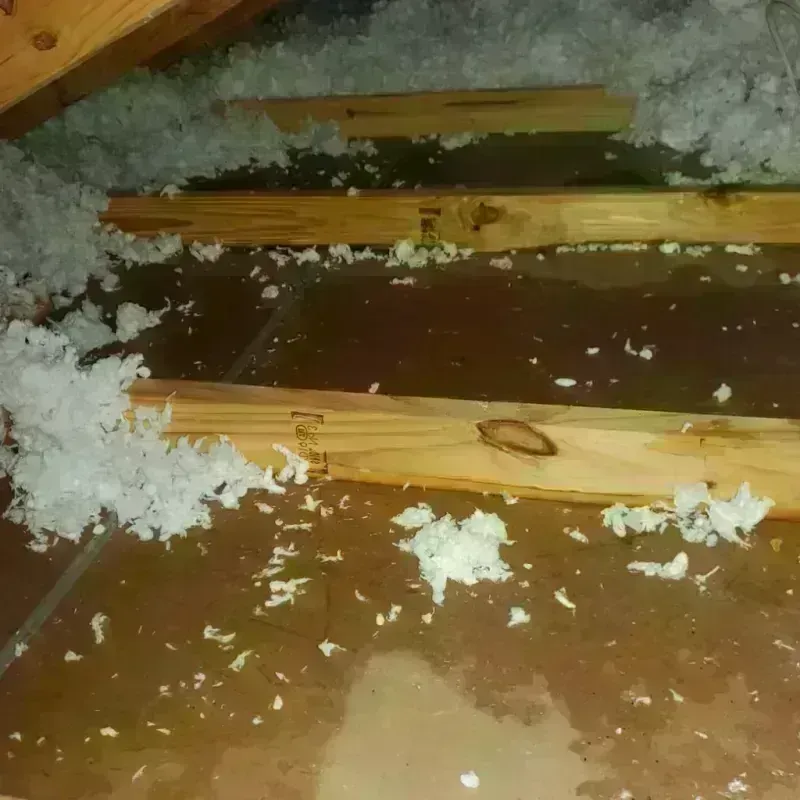 Attic Water Damage in The Galena Territory, IL